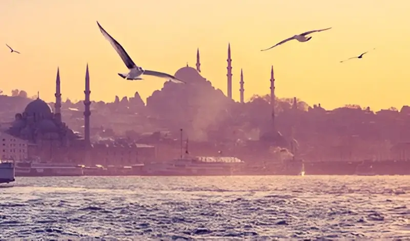 Istanbul Old City Tour - Silver Package<br>Full Day Historical Experience - Image 2