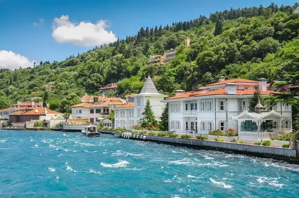 Istanbul Princes Island Tour - Image 4