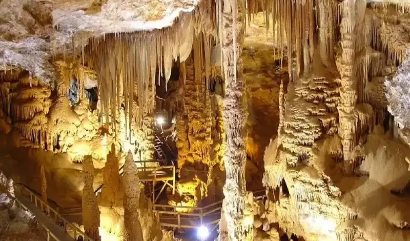 Trabzon Uzungol Tour - Image 4