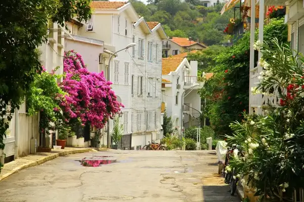 Princes Islands Tour Full Day Peaceful Escape Experience